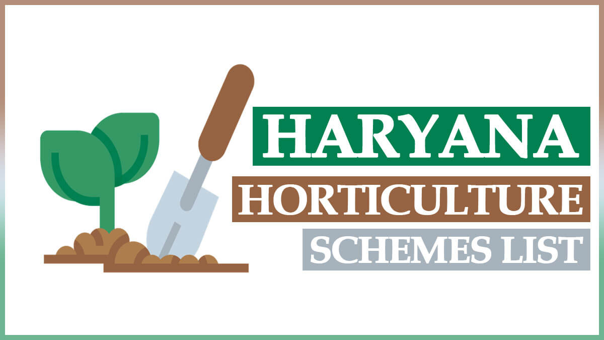 Haryana Horticulture Schemes List