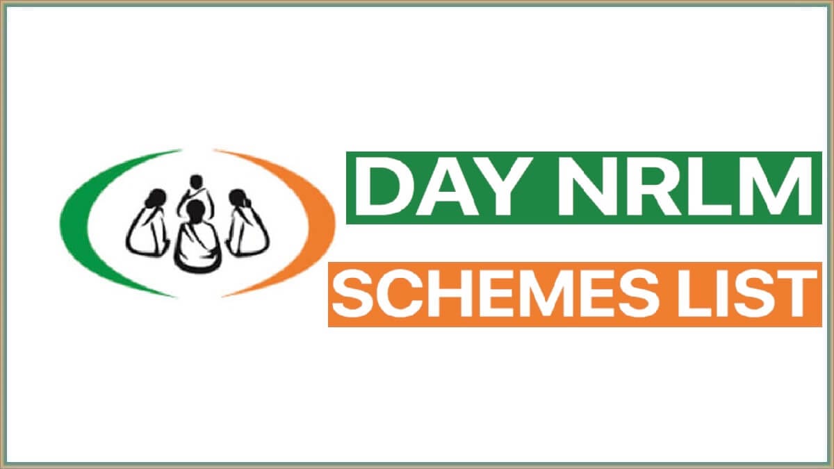 DAY NRLM Schemes List